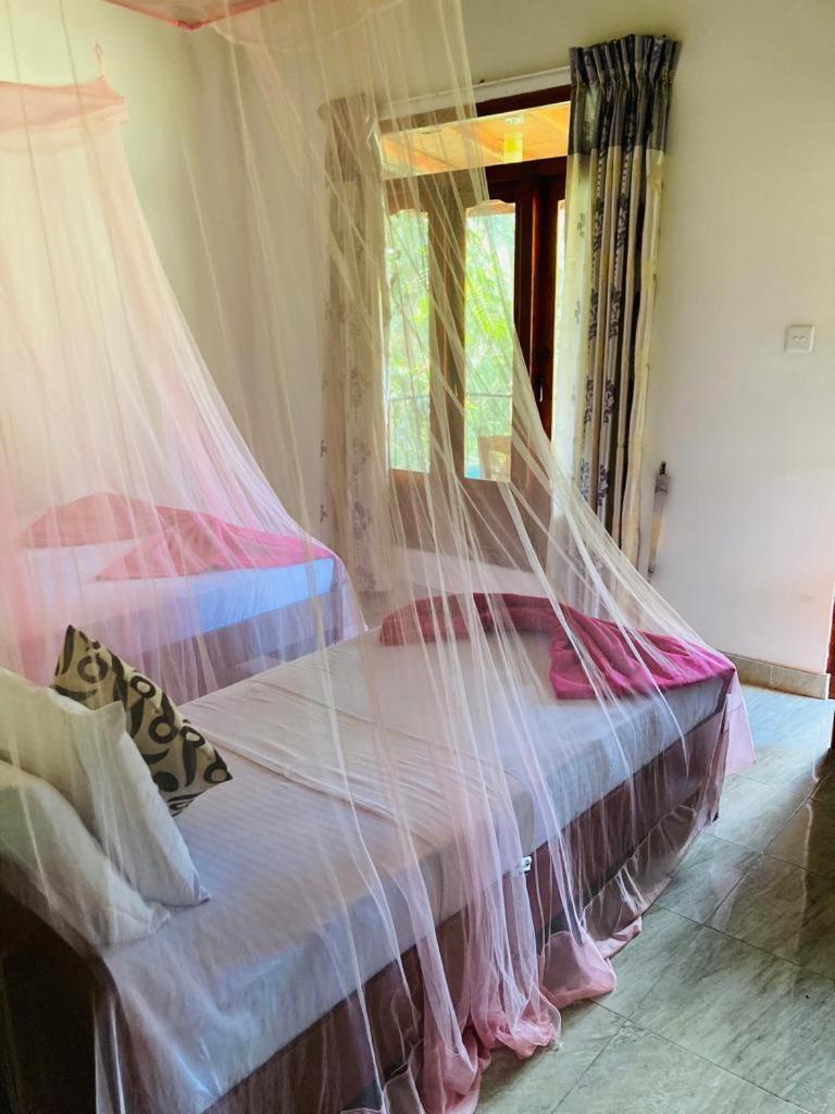 Bed and Breakfast Silent Nest Элла Экстерьер фото