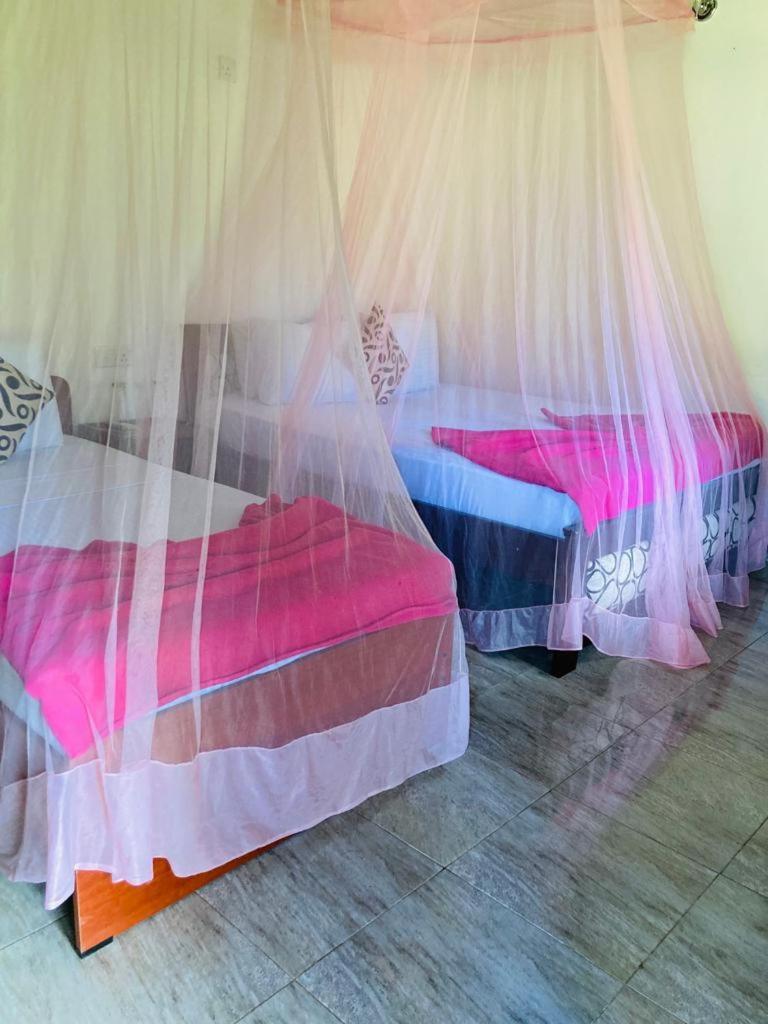 Bed and Breakfast Silent Nest Элла Экстерьер фото
